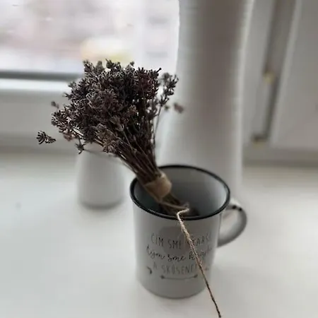 Apartment Utulny V Centre Mesta *